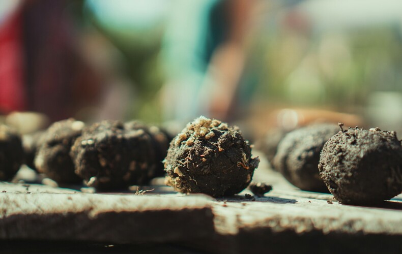 Fabrication de bombes de semences