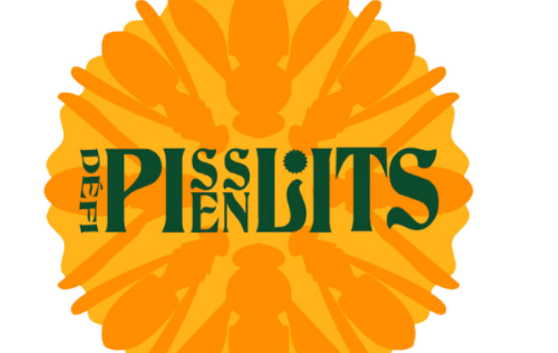 Défit pissenlits 2025