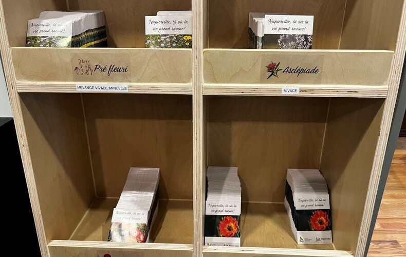 Distribution de semences
