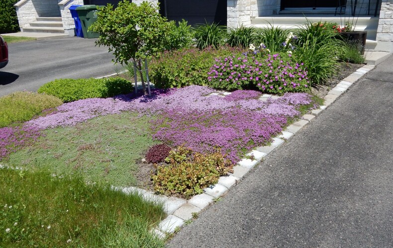La biodiversité ça commence dans votre pelouse!