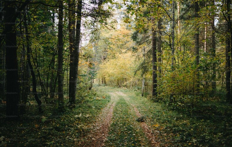 Sentier des contes