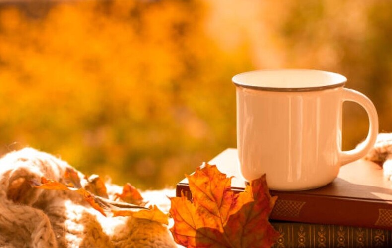 Novembre - lecture détente